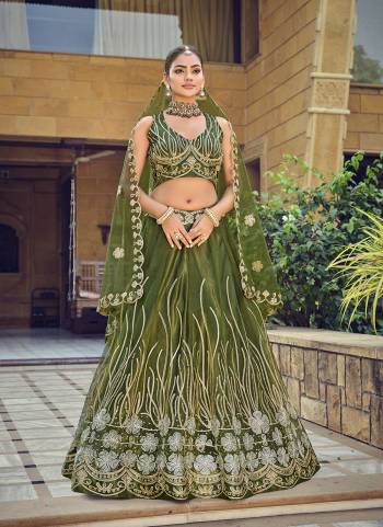 Looking These Party Wear Lehenga Choli in Fine Colored.These Lehenga Are Net, Choli Are Net And Dupatta Are Fabricated On Net Pair.Its Beautified With Designer Ribbon With Embroidery Work.