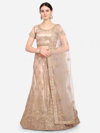 Attrective This Partywear Heavy Designer Lehenga Choli And Dupatta In Fine Color Fabricated On Net Beautified With Heavy Attractive Jari Embroidery Work.Buy Now. 