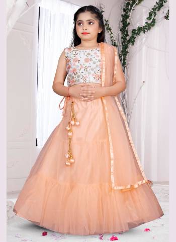 Grab These Beautiful Lehenga Choli in All Over Fine Colored.These Lehenga And Dupatta Are Fabricated On Net Pair With Silk Blouse.Its Beautified With Designer Sequance Embroidery Work.