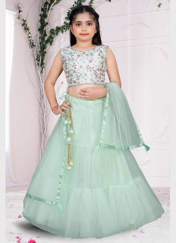 Grab These Beautiful Lehenga Choli in All Over Fine Colored.These Lehenga And Dupatta Are Fabricated On Net Pair With Silk Blouse.Its Beautified With Designer Sequance Embroidery Work.