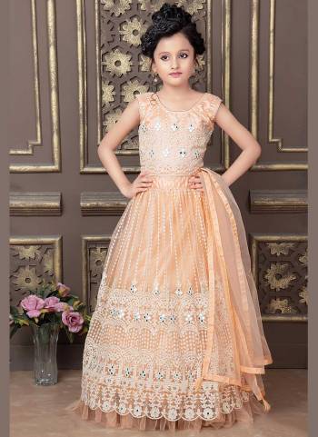 Grab These Kids Wear Lehenga Choli in Fine Colored.These Blouse And Lehenga Are Fabricated On Net Pair With Net Dupatta.Its Beautified With Designer Lucknowi,Real Mirror Embroidery Work.