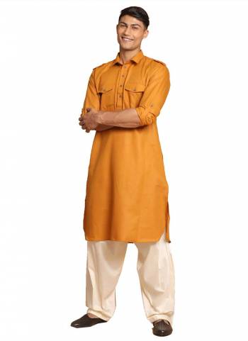 Grab These Traditional Wear Kurta And Paijama.These Kurta And Bottom Are Fabricated On Cotton.Its Beautified With Solid Work.Its Available in All Regular Size.