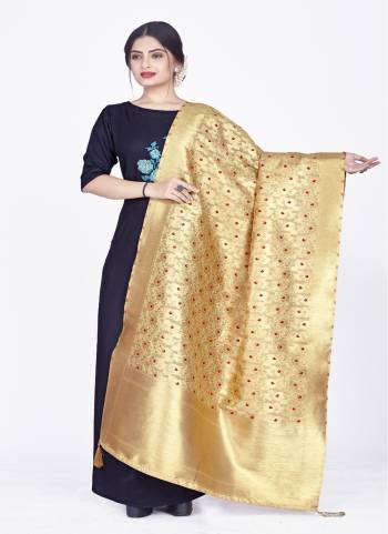 Grab These Beautiful Colored Dupatta.These Dupatta is Fabricated On Chanderi.Its Beautified With Wevon Designer Work.