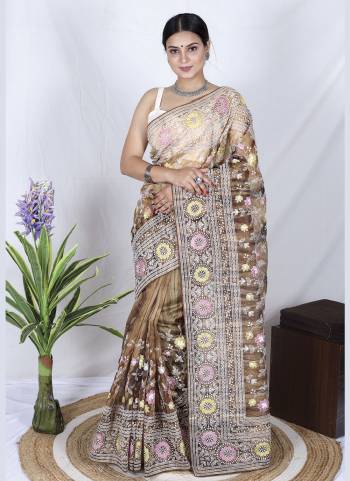 Attrective Looking These Party Wear Saree in Fine Colored.These Saree Are Organza And Blouse is Fabricated On Satin Banglori Pair.Its Beautified With Designer Lakhnawi Embroidery Work.