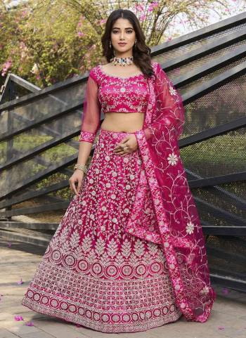 A Designer Look,Grab These  Lehenga Choli in Fine Colored.These Lehenga And Blouse Are Net And Dupatta Are Fabricated On Net.Its Beautified With Designer Embroidery Work.