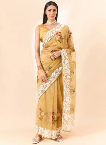 Attrective These Designer Party Wear Saree in Fine Colored.These Saree Are Organza And Blouse Art Silk is Fabricated.Its Beautified Desiger Floral Embroidery Work.