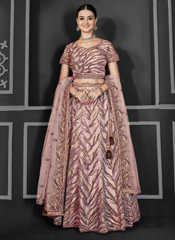 A Designer Look,Grab These  Lehenga Choli in Fine Colored.These Lehenga And Blouse Are Net And Dupatta Are Fabricated On Net.Its Beautified With Heavy Designer Embroidery Work.