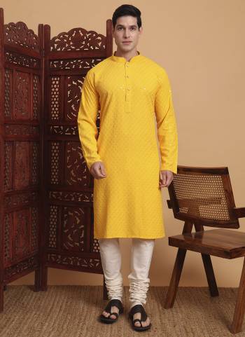 For A festive And Party Wear,Looking These Readymade Kurta With Payjama in Fine Colored.These Kurta is Fabricated On Rayon And Art Silk Bottom With Designer Chikankari Embroidery Work.Buy Now.