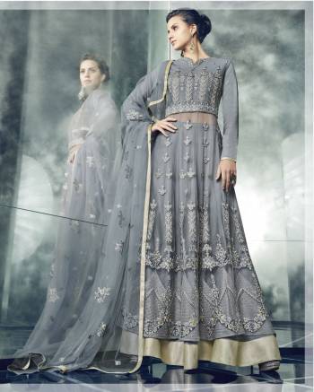 New And Unique Patterned Indo-Western Suit Is Here In Grey Color Paired With Grey Colored Bottom And Dupatta. Its Top And Dupatta Are Fabricated On Net Paired With Santoon Bottom. Additionally This Dress Comes With Net fabricated Lehenga And Jacket, You Can Pair Up As Per Your Occasion.