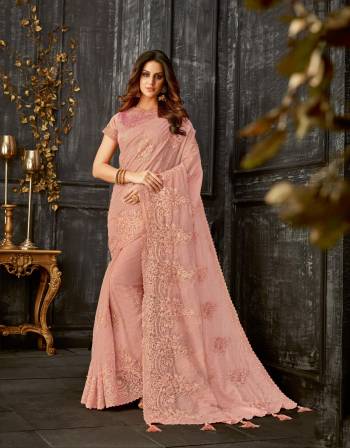 Say hello to glam and culture in equal parts in this Dusty pink saree with tonal embroidery. Add a hint of golden jewels to balance the look. 