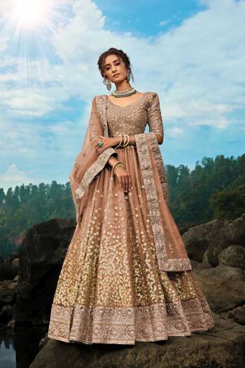 Flaunt Your Rich And Elegant Taste Wearing This Pretty Designer Lehenga Choli In All Over Light Brown Color. Its Blouse Is Fabricated On Art Silk Paired With Net Fabricated Lehenga And Dupatta. It Is Beautified With Coding And Sequence Work. 